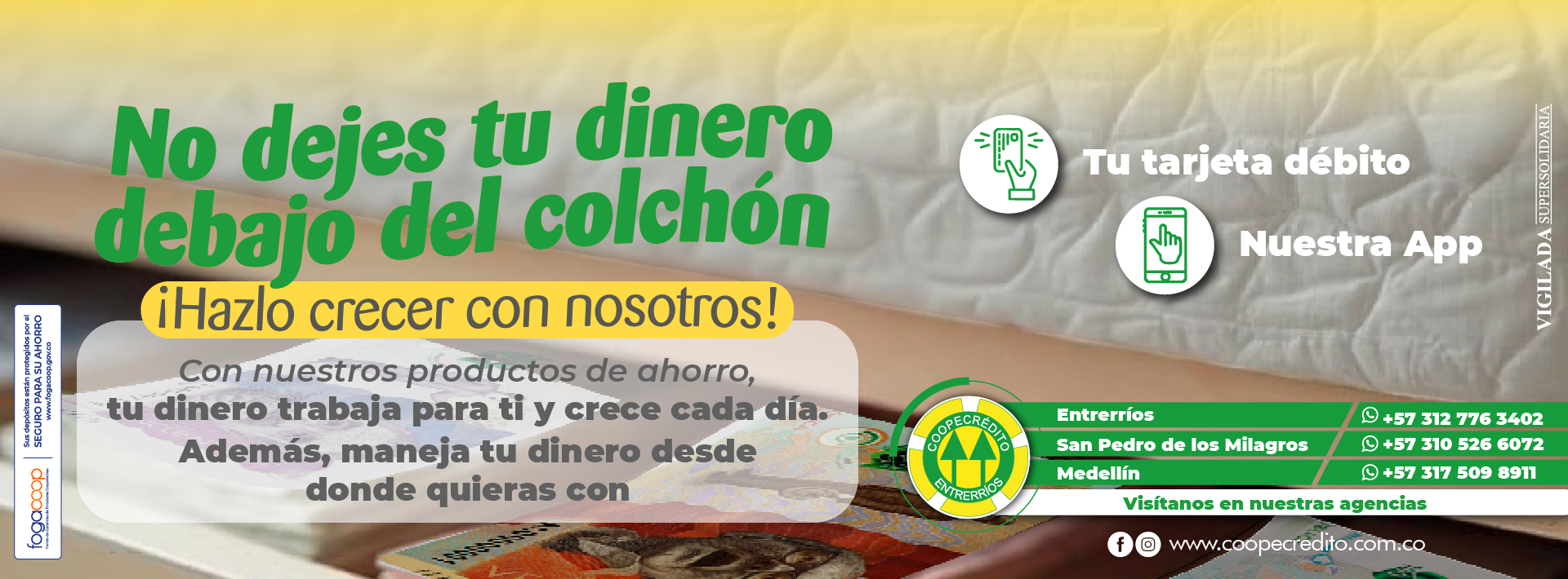 banner web